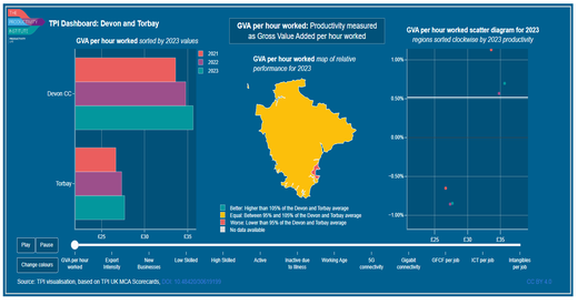 TPI MCA 2025 Dashboard Devon and Torbay