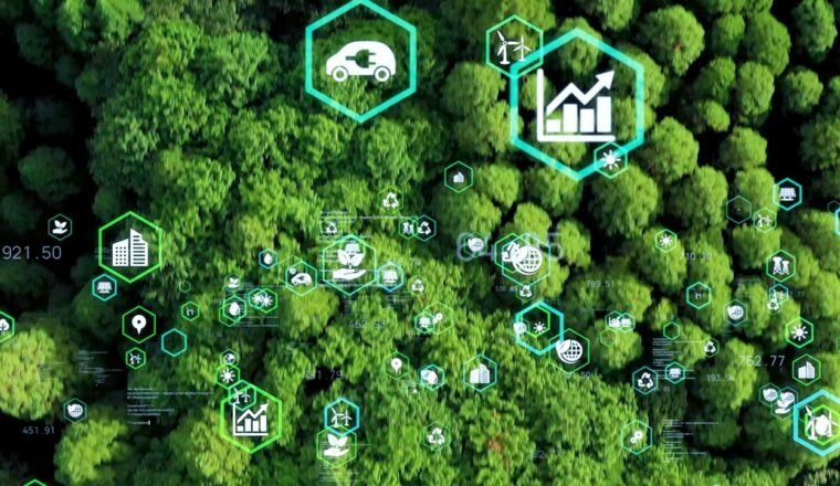 The role of natural capital and environment on productivity analyses